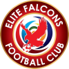Elite Falcons logo