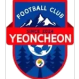 Yeoncheon logo