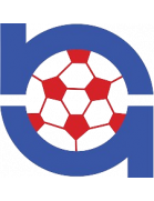 Nomads United logo