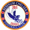 Berekum Chelsea U-19 logo