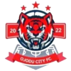 Ojodu City U-19 logo
