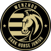 Wenzhou logo