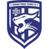 Wuhan Three Towns-2 logo