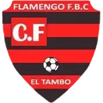 Flamengo FBC W logo