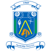 Newbridge Town W logo