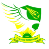Sokol Brezovicka logo