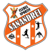 Sanandrei Timis logo
