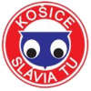 Kosice-2 logo