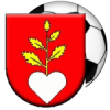Buzitka logo