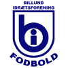 Billund logo