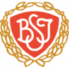 Brondby Strand logo