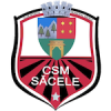 Sacele logo