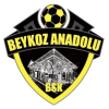 Beykoz Anadolu logo