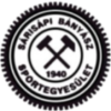 Sarisapi Banyasz logo