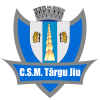 CSM Targu Jiu logo