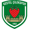 Kestel Cilekspor logo