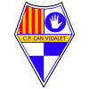 Can Vidalet logo