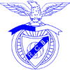 RCB logo
