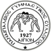 Panegialios logo