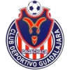 CD Guadalajara logo