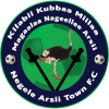 Negele Arsi Ketema logo