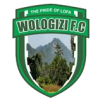 Wologizi logo