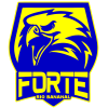 Forte U-20 logo