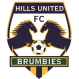 Hills Brumbies U-20 logo