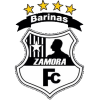 Zamora-2 logo