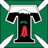 Deportes Temuco W logo