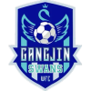 Gangjin Swans W logo