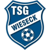 Wieseck U-19 logo
