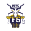 TFSE Budapest logo
