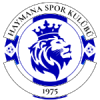 Haymanaspor W logo