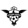 Halcones Negros logo
