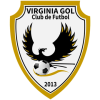 Virginia logo