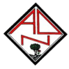 Nogueirense logo