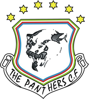 Panthers logo