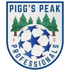PPK Professionals logo