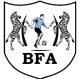 Botswana U-23 logo