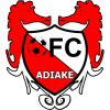 Adiake logo