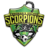 Freemansville logo
