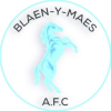 Blaen-y-Maes logo