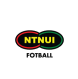 NTNUI logo