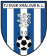 FK Dvur Kralove logo