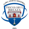 Tricolorul Breaza logo