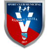 Ramnicu-Valcea logo