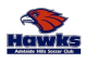 Adelaide Hills logo