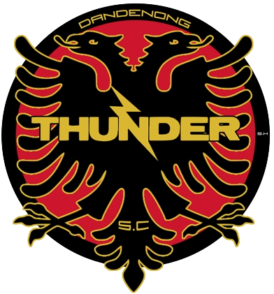 Dandenong Thunder logo