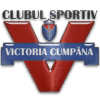 Victoria Cumpana logo